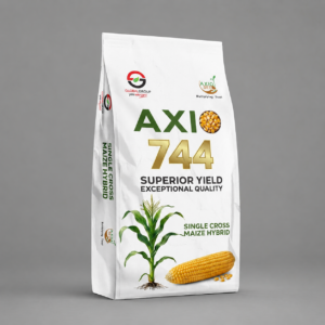 Axio 744