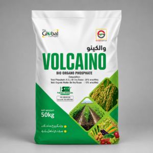 Volcanio